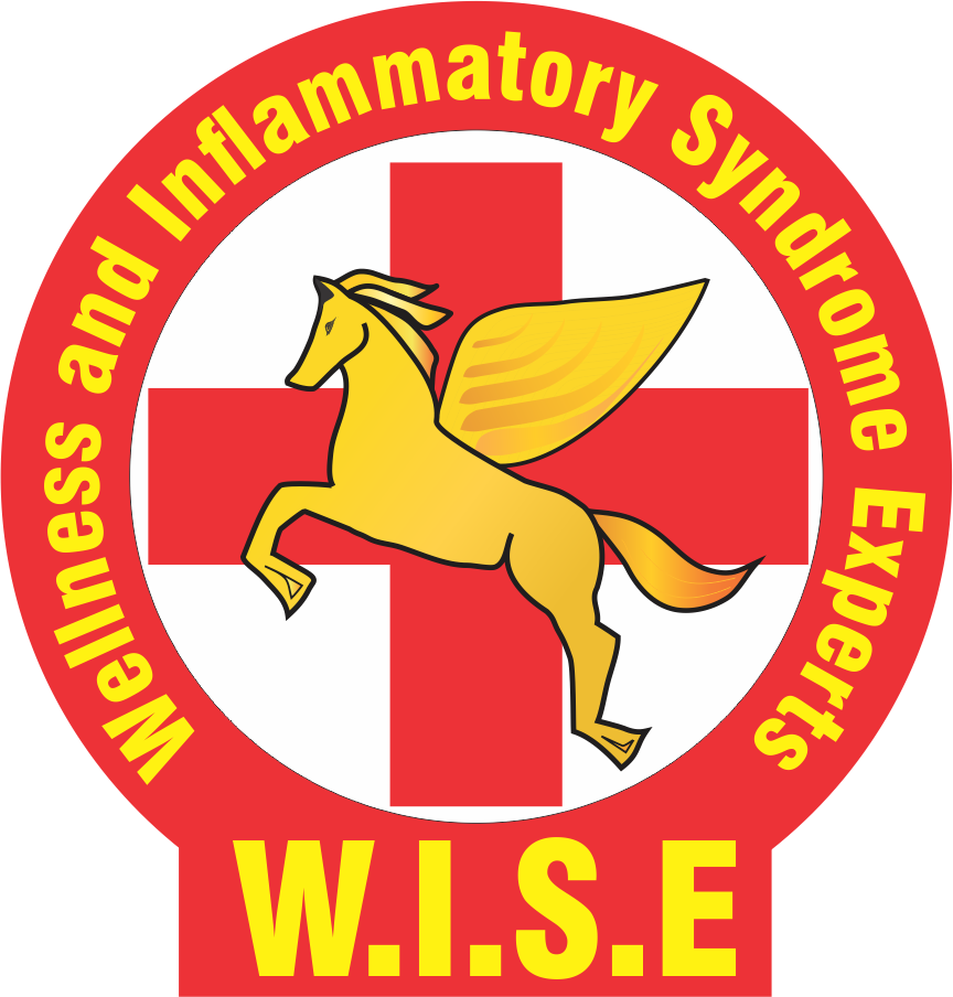 logo wise-2